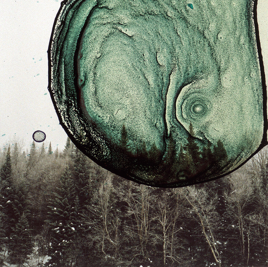 Art Advisor + Photographer, Amanda Marchand (NYC + Canada)